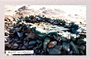 Islamyat (70).jpg